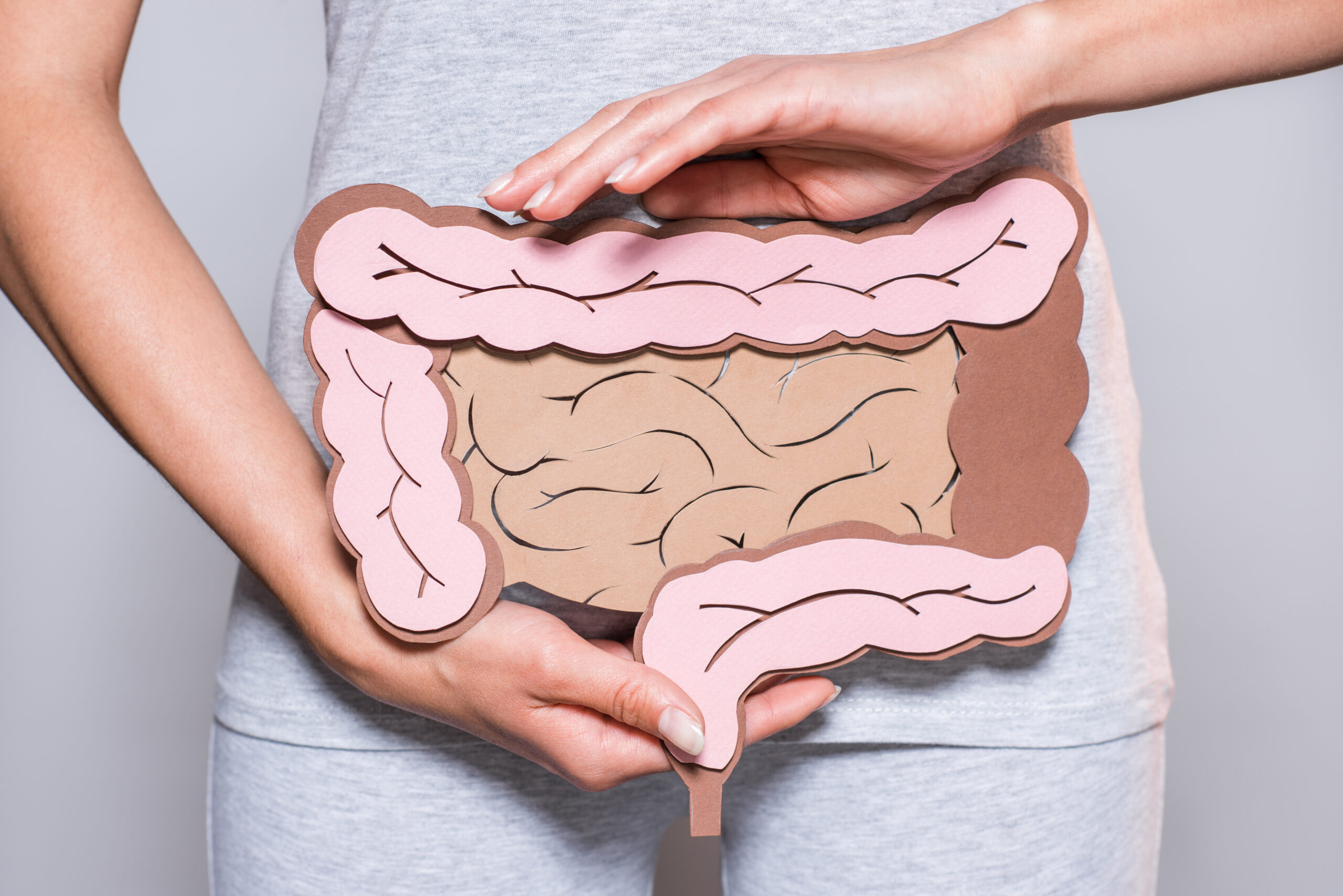 Disbiose intestinal: o que é, sintomas e tratamentos